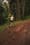 UGC Campaign for Running Belt Brand
